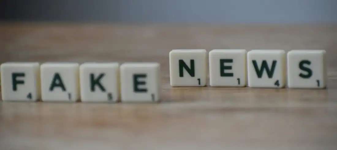 pexels-joshuamiranda-3989901