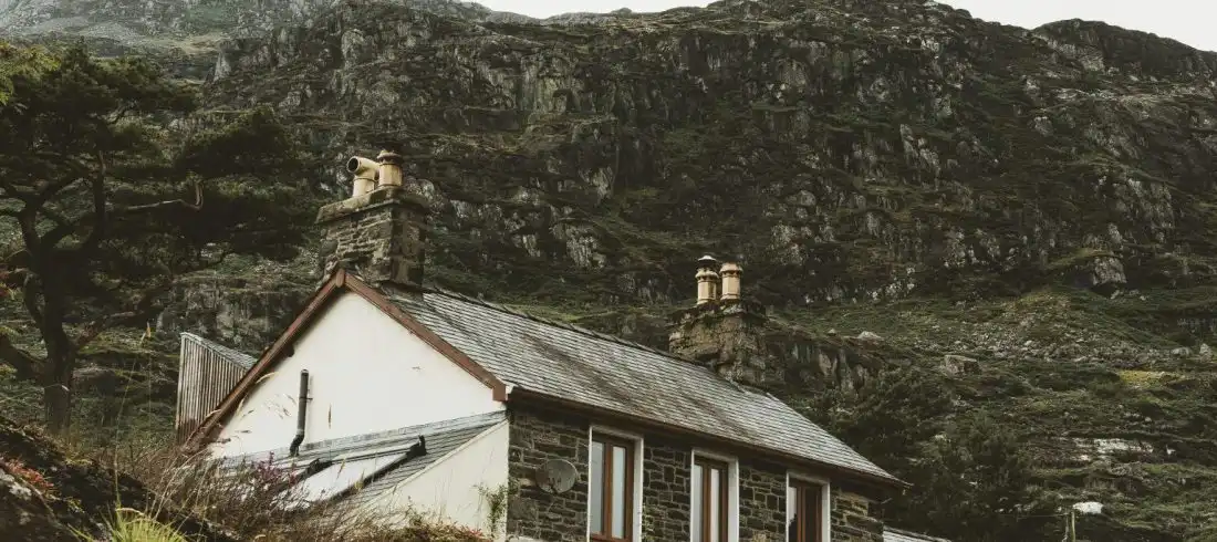 pexels-jack-redgate-333633-2929261